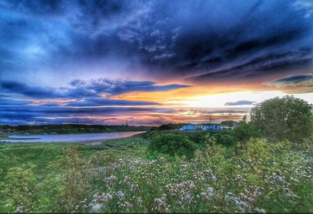 Riverscape Northumberland